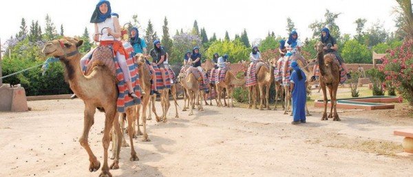 Balade en dromadaire dans la Palmeraie Marrakech de 09h00 à 12h00 / 14h30 à 17h30