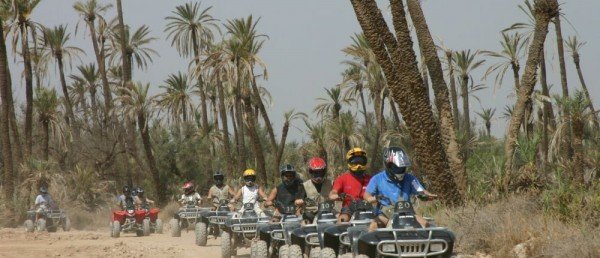 La Palmeraie en Quad de 09h00 à 12h00 / 14h30 à 17h30